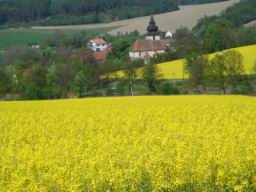 Resize of DSC02002.JPG